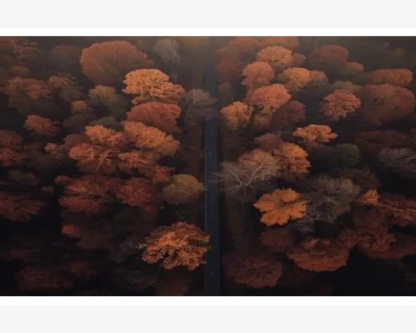喝什么可以化痰宝宝的选择？